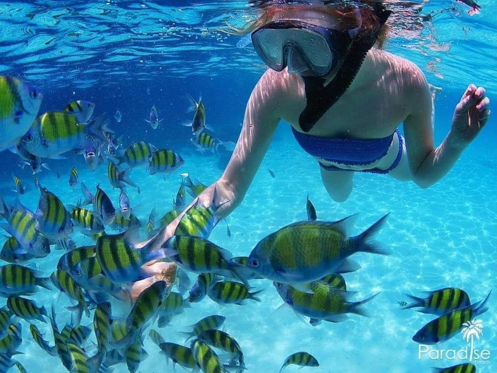 Paradise Beach Backpackers Hostel Patong Екстериор снимка